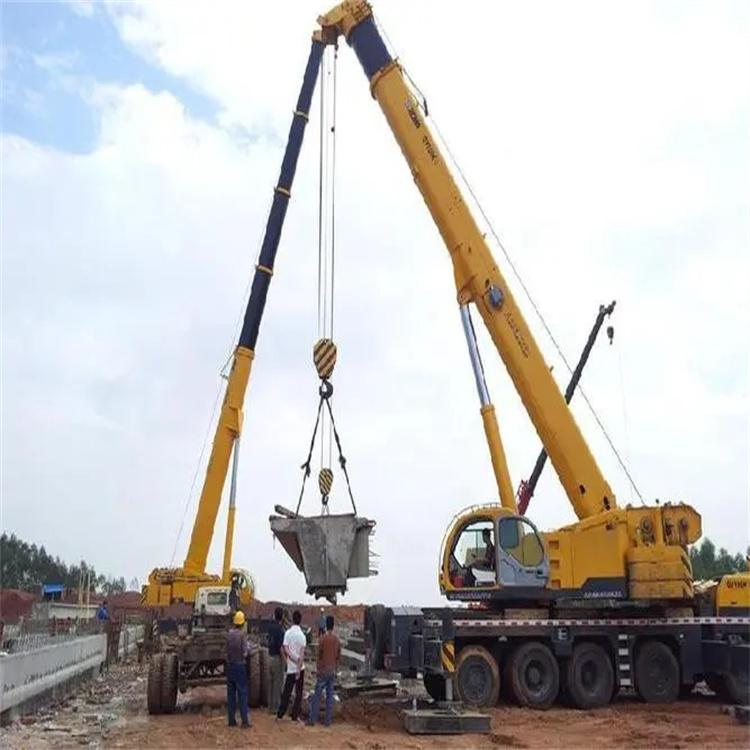 金川小型吊机出租电话|厂房设备吊装方案|24小时服务覆盖